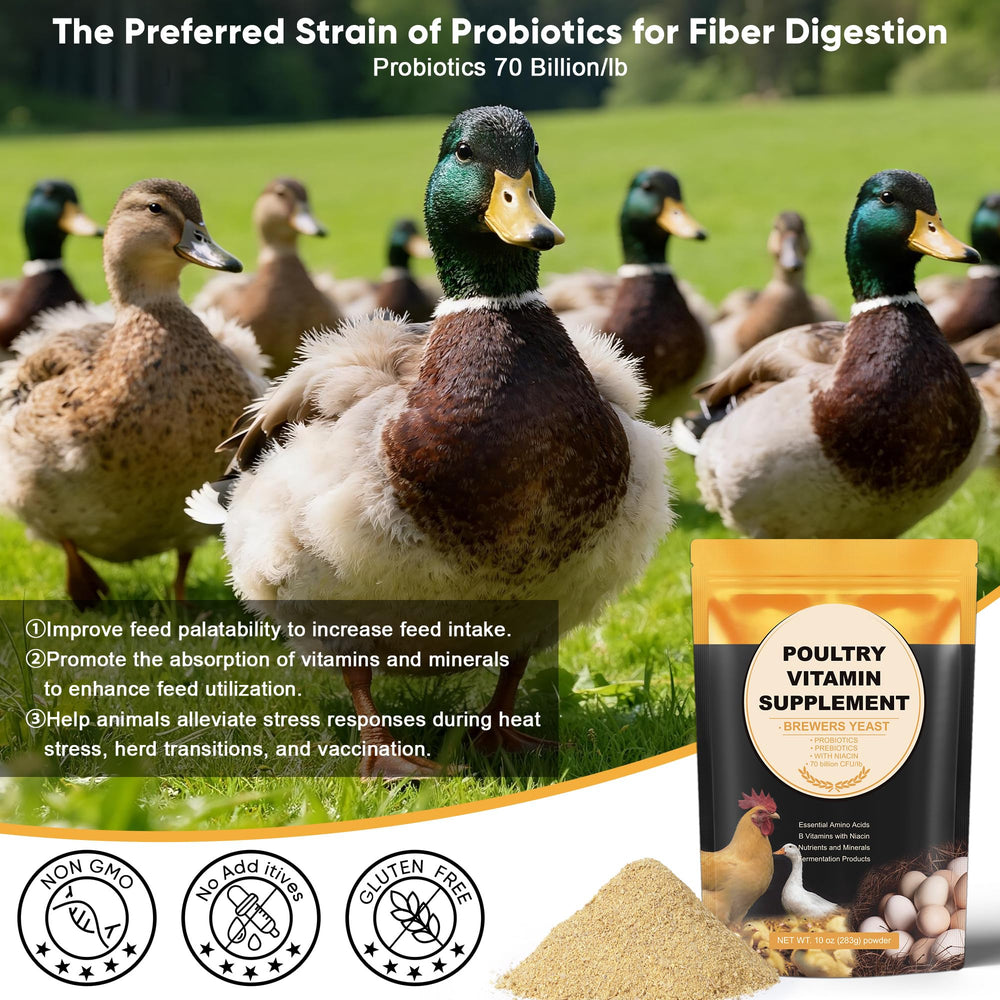 GAIAKINGCO polvo de levadura puro para pollos y patos en la ración diaria.