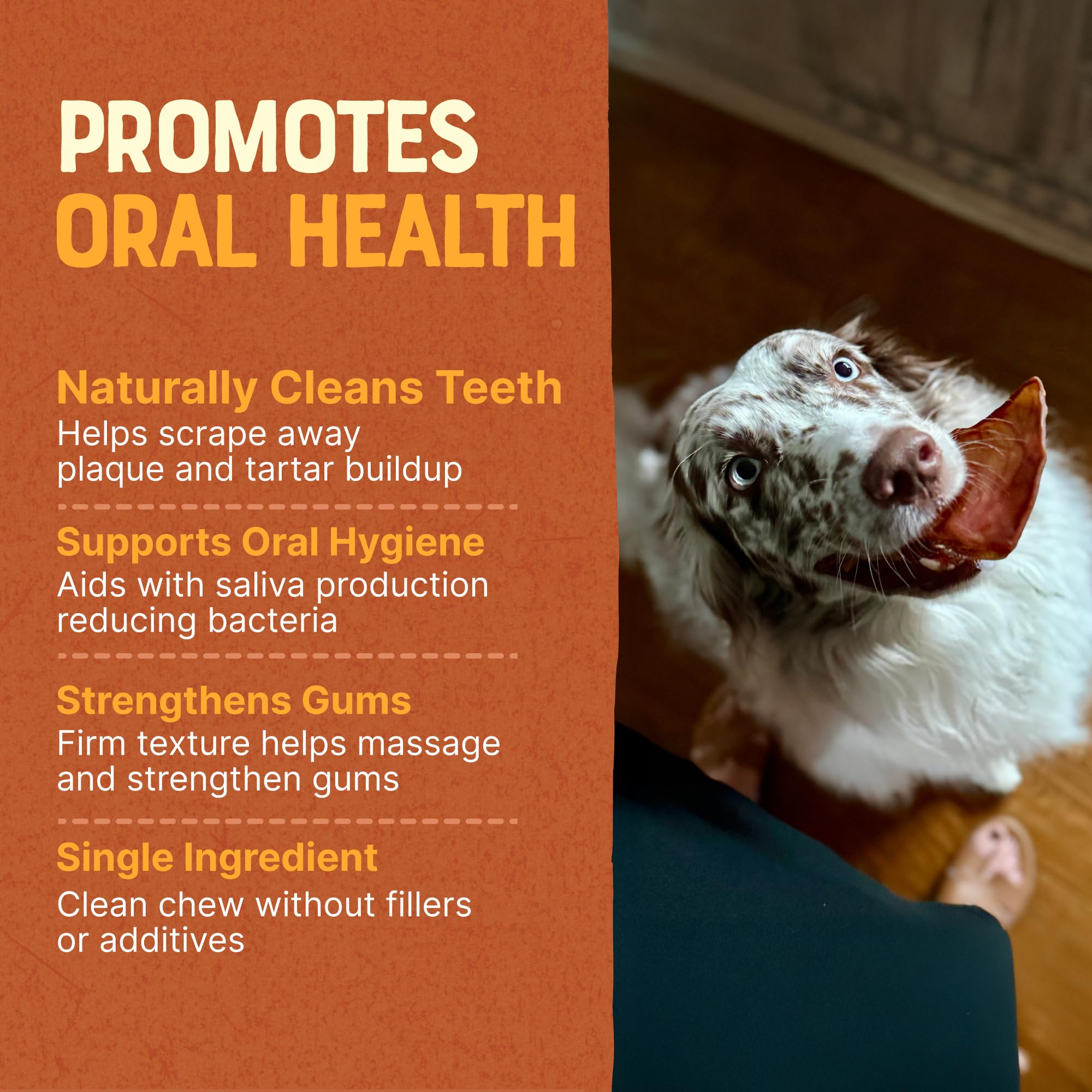 Orejas Gaines, alternativa digerible al cuero crudo para perros.