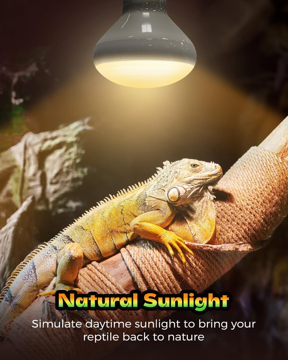 GAJUX bombilla rayos ultravioleta para reptil, luz solar favorece comportamientos.