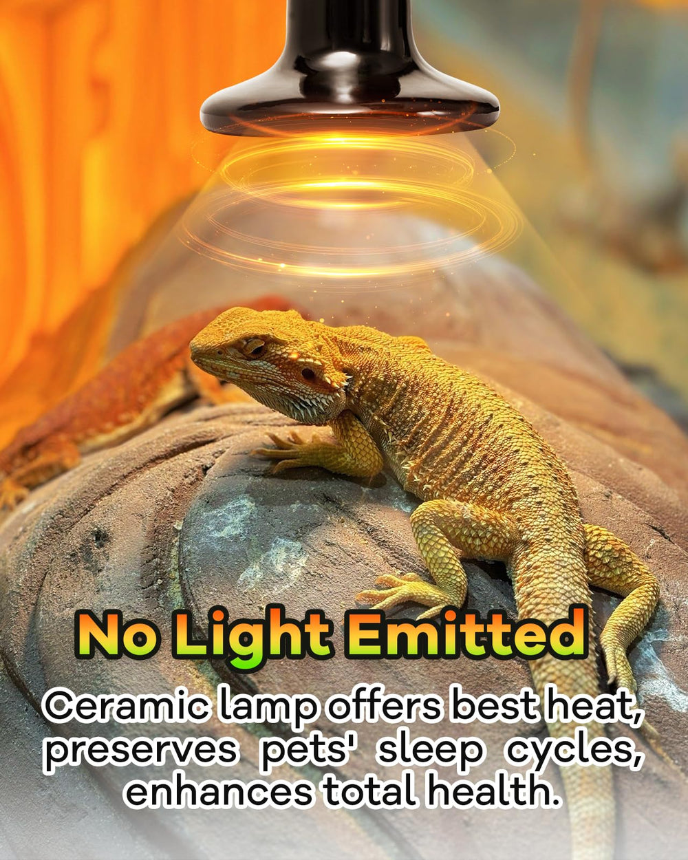 GAJUX emisor ceramico 100W en accion, rapido calentamiento para reptiles.