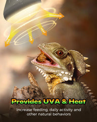 GAJUX luz de calor para reptil dragon barbudo, promueve zona de exposición.