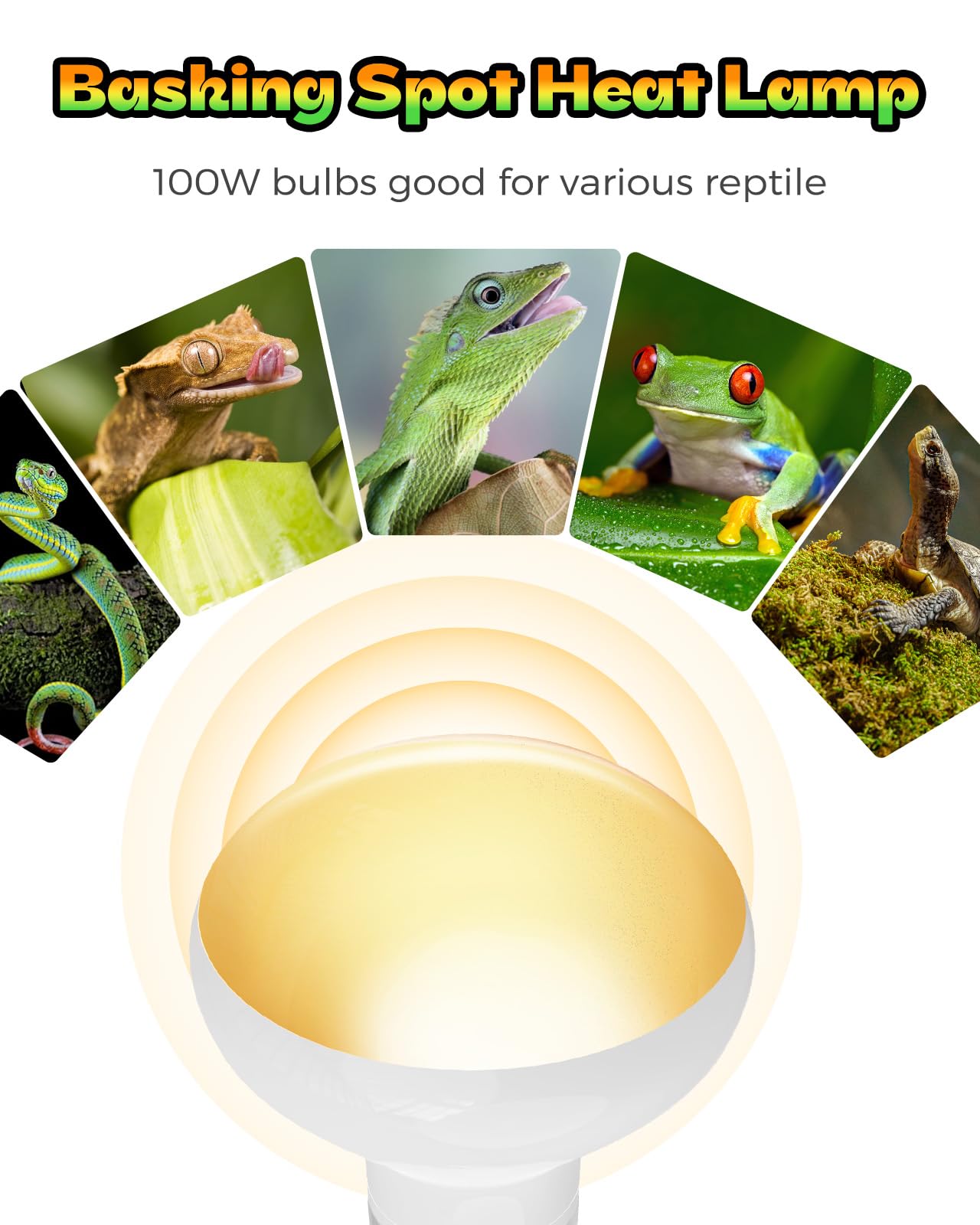 GAJUX uso diario recomendado 4-6 horas para reptil.