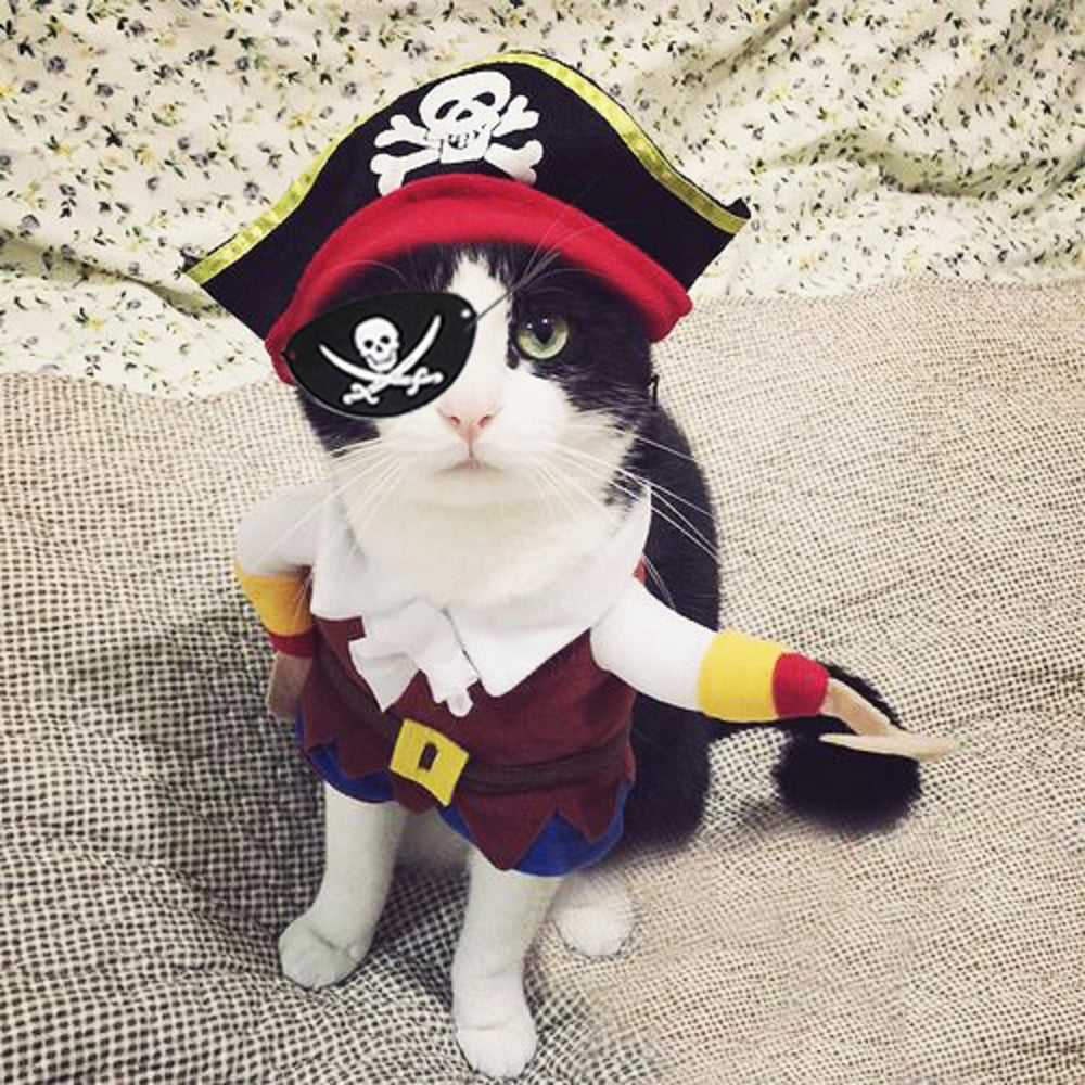 Conjunto pirata completo de GallaRato para mascotas, fácil de vestir.