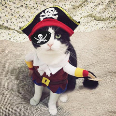 Conjunto pirata completo de GallaRato para mascotas, fácil de vestir.