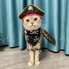 Parche pirata para ojos de GallaRato, complemento divertido para mascotas.