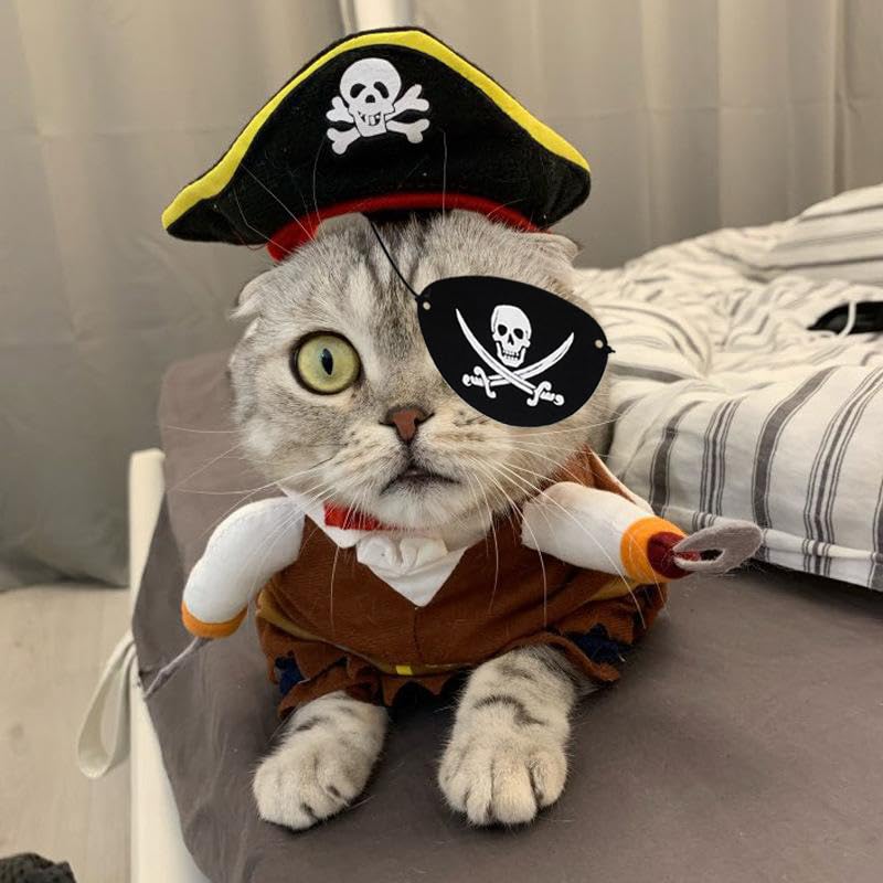 Disfraz pirata de GallaRato para mascotas en uso diario y fiestas.