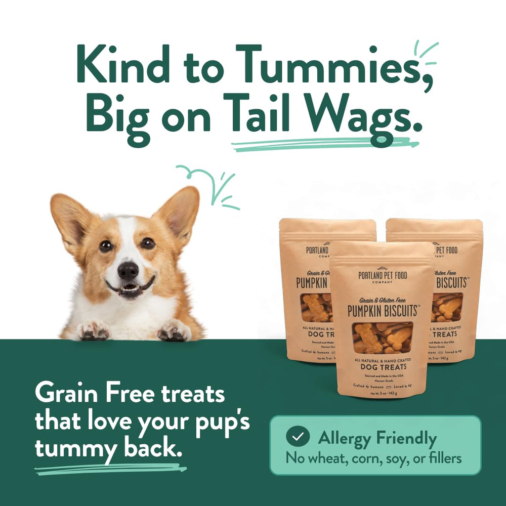 Galletas-calabaza-perros-entrenamiento-tamano-pequeno: trozos para perros pequeños.