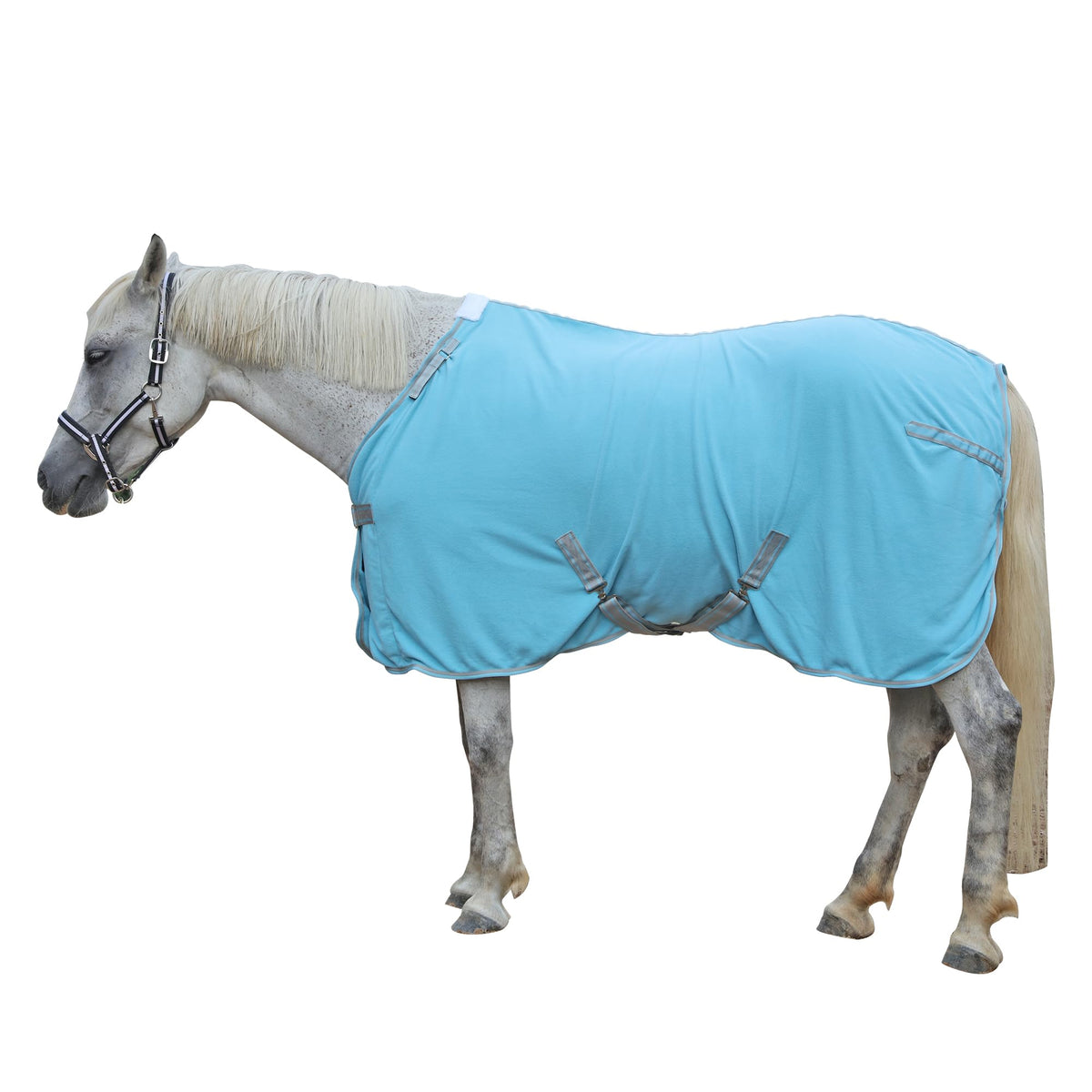 Gallopoff Manta de felpa para caballo, frente, calor suave sin volumen para mayor comodidad.
