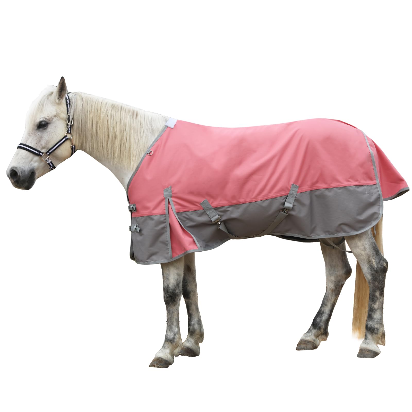 Manta Gallopoff 1200D impermeable, vista frontal, protege al caballo del agua en el picadero mojado