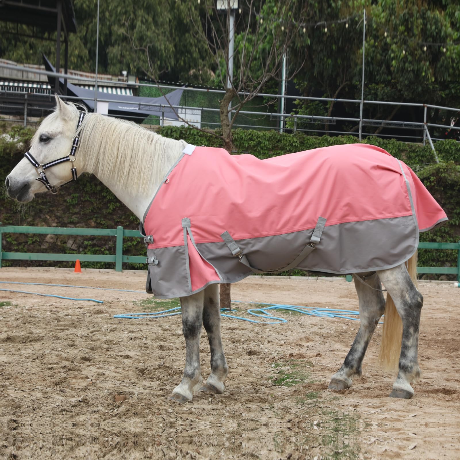 Protección de cola Gallopoff para cobertura adicional frente a la lluvia