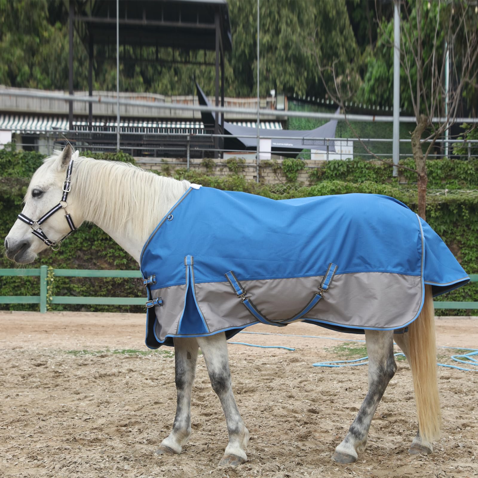 Anillas en D para cuello Gallopoff permiten adaptar una capota u otros accesorios.