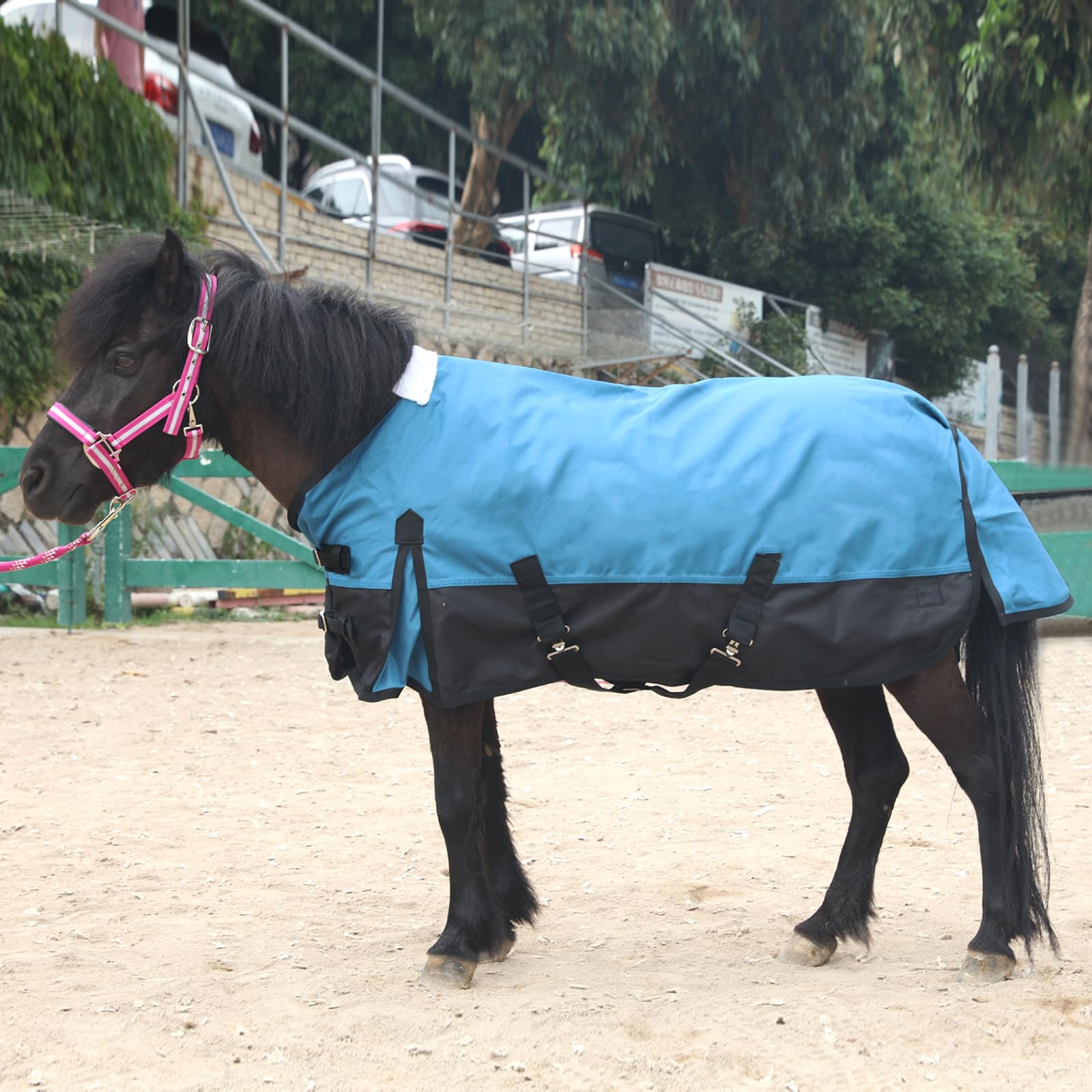 Manta Gallopoff para mini caballo, correas de pierna desmontables, ajuste estable durante movimiento
