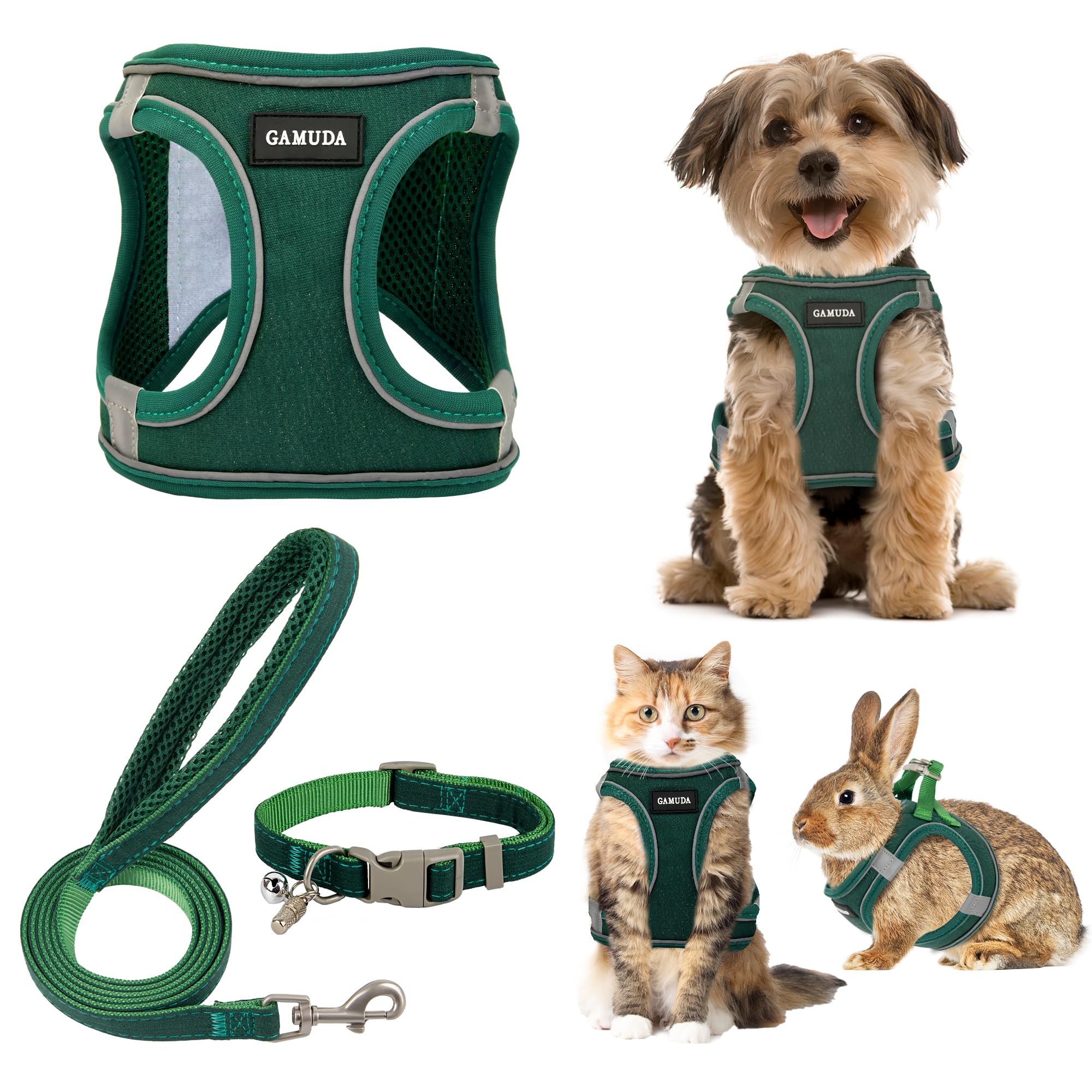 GAMUDA arnés-collar-correa, conjunto completo para paseos seguros diarios.