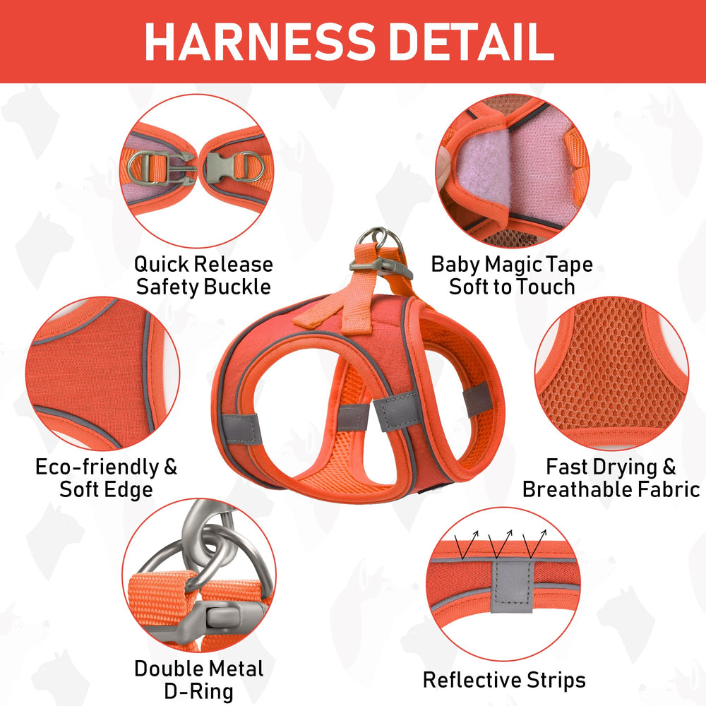 GAMUDA collar con campana y etiqueta de identificación para fácil localización.