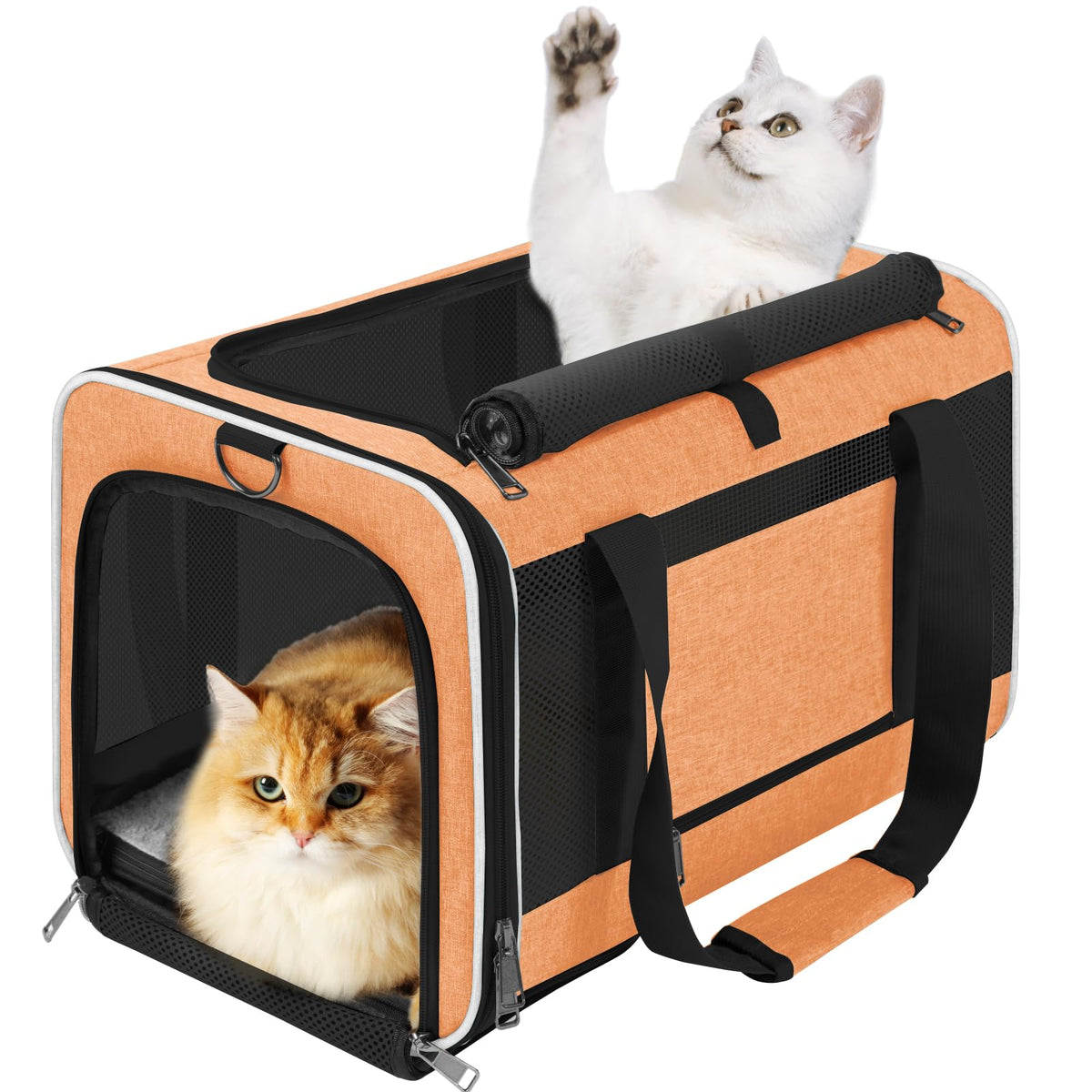 GAPZER bolsa transporte para gato grande, exterior naranja, ideal para viajar.