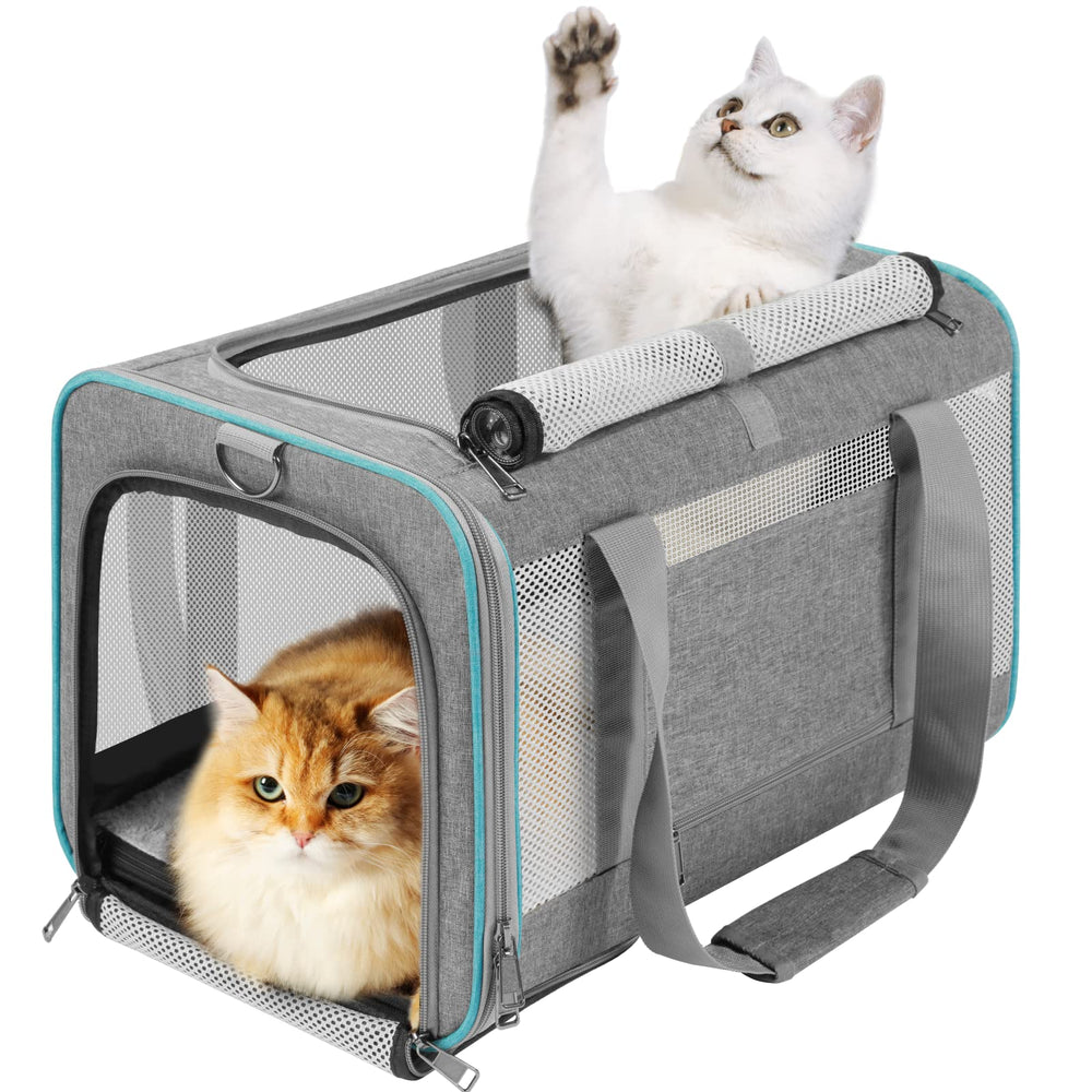 GAPZER Bolsa transporte gatos grandes, frontal: comodidad y visibilidad durante el viaje.