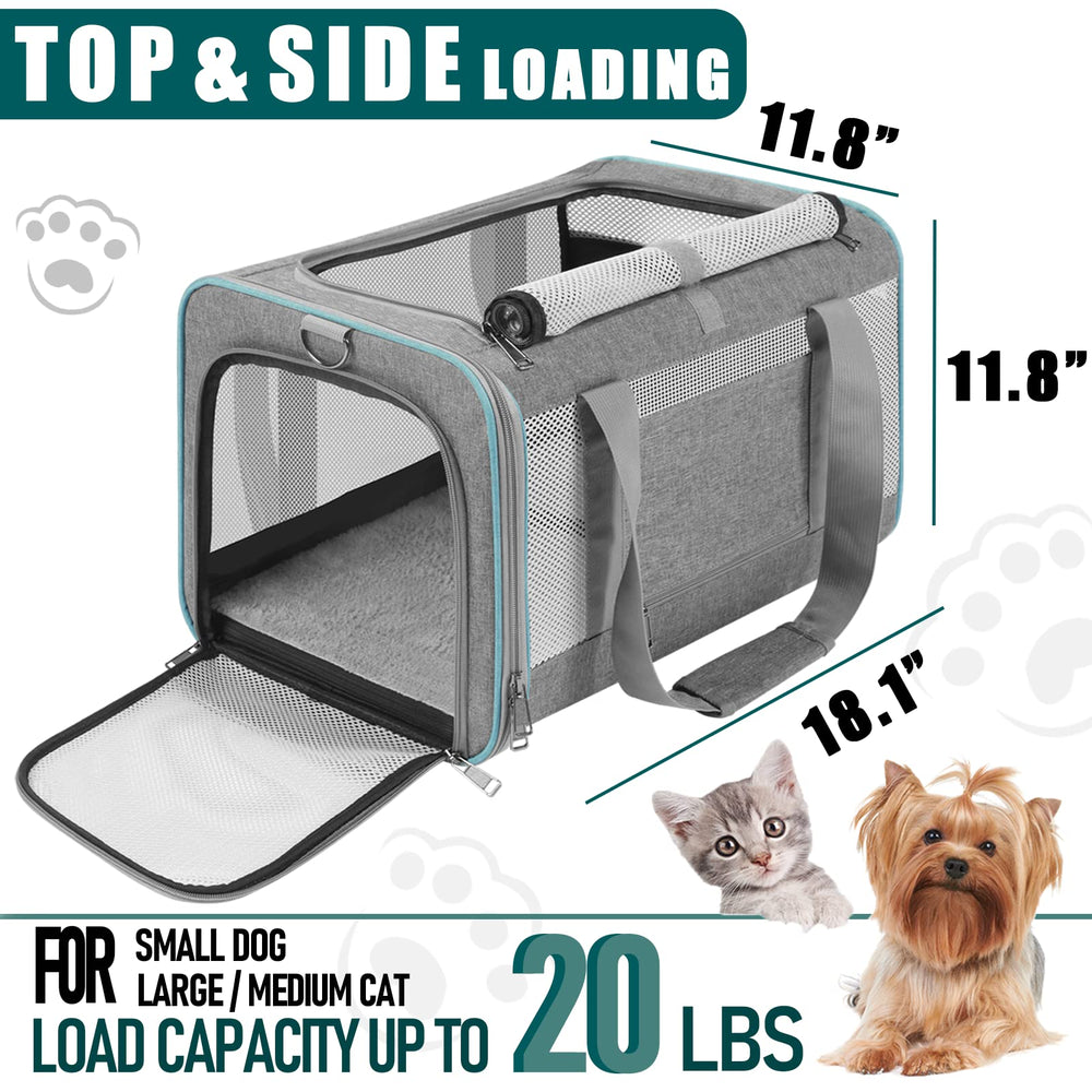 GAPZER Bolsa transporte gatos grandes, interior: estructura estable para mascotas de 20 libras.