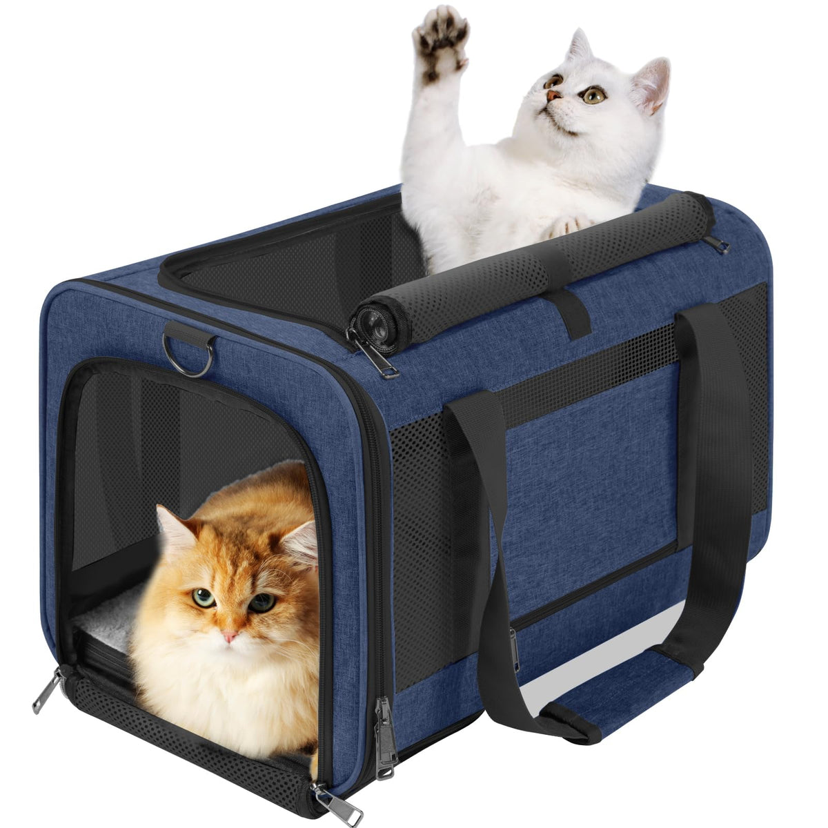 GAPZER transporte de mascotas visto por fuera en azul marino para viajar