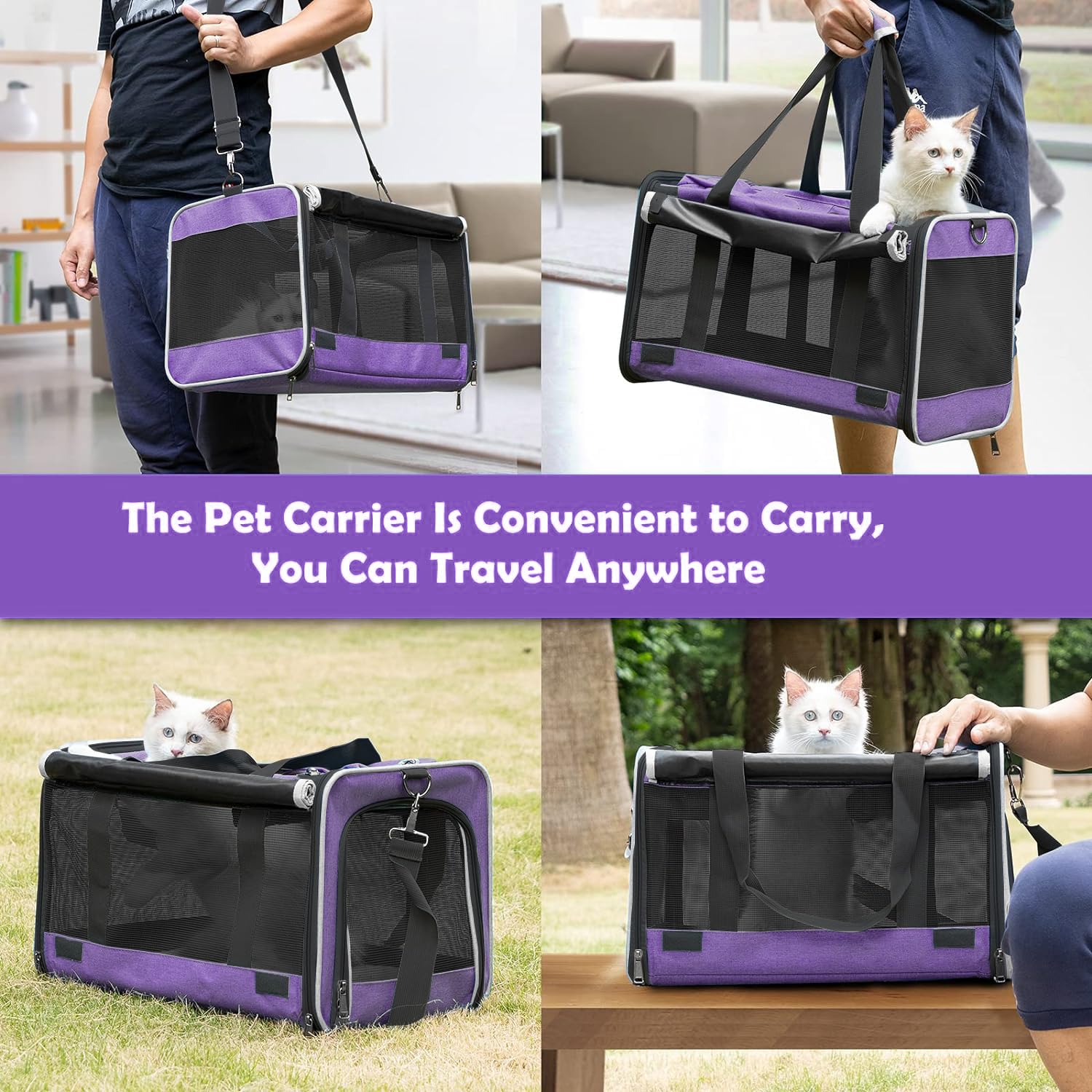 GAPZER transporte para perro teacup con malla 360 para buena ventilación.