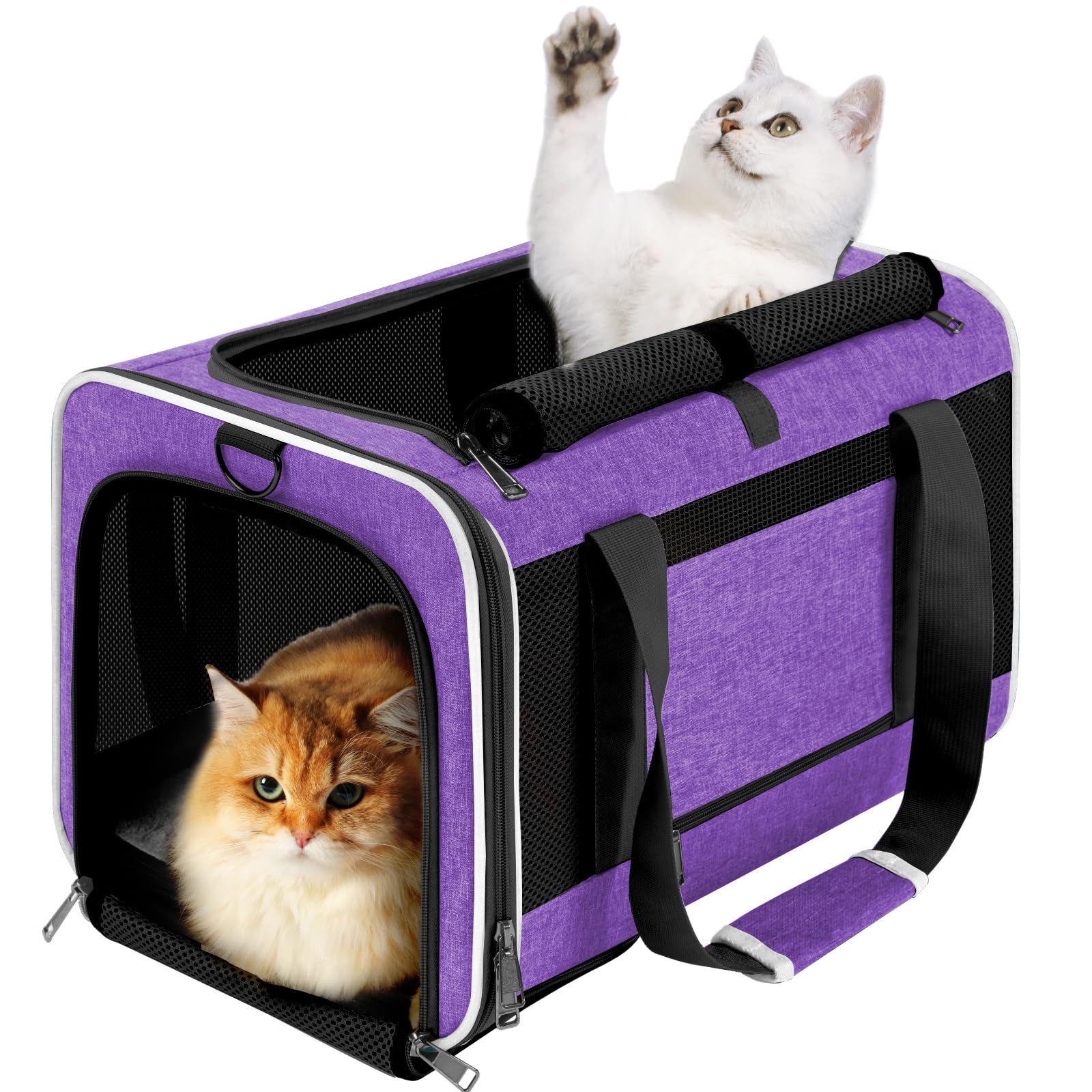 GAPZER transportín para gato grande, vista exterior, comodidad en cada viaje.