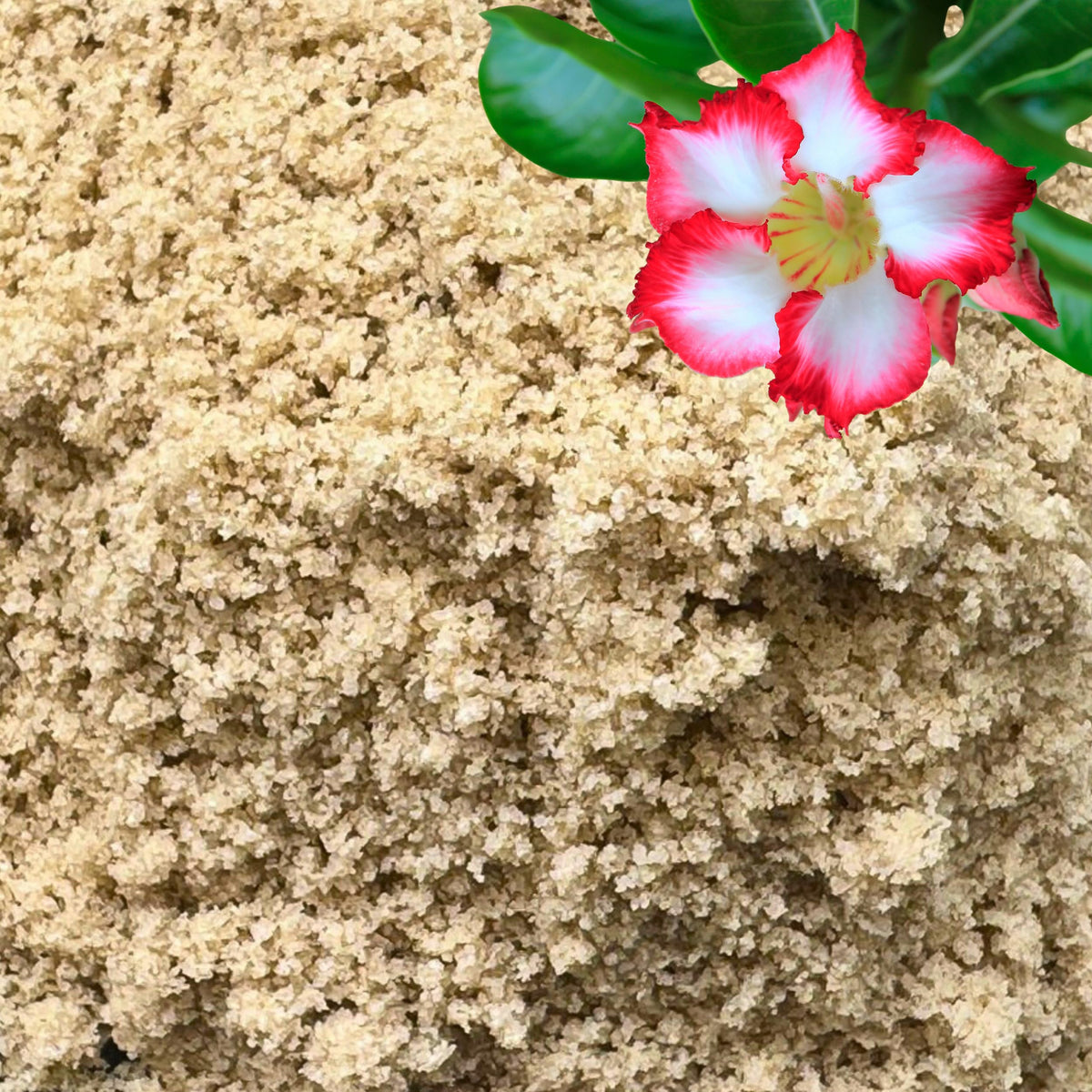GARDENWISE arena para plantas, textura fina, mejora la aireación de sustratos interiores.