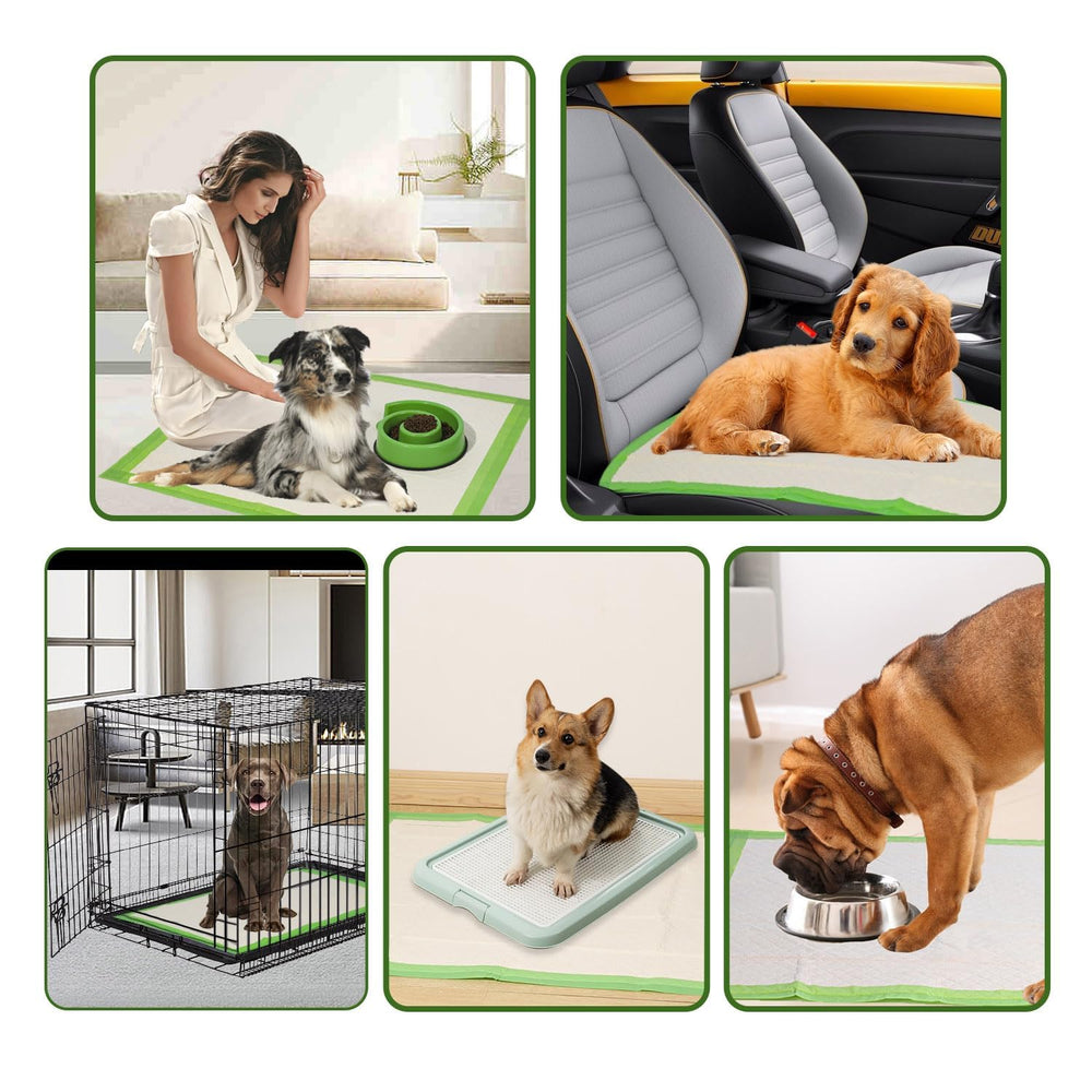 Gardner Pet almohadillas ECO, materiales ecológicos y absorbentes para casa.