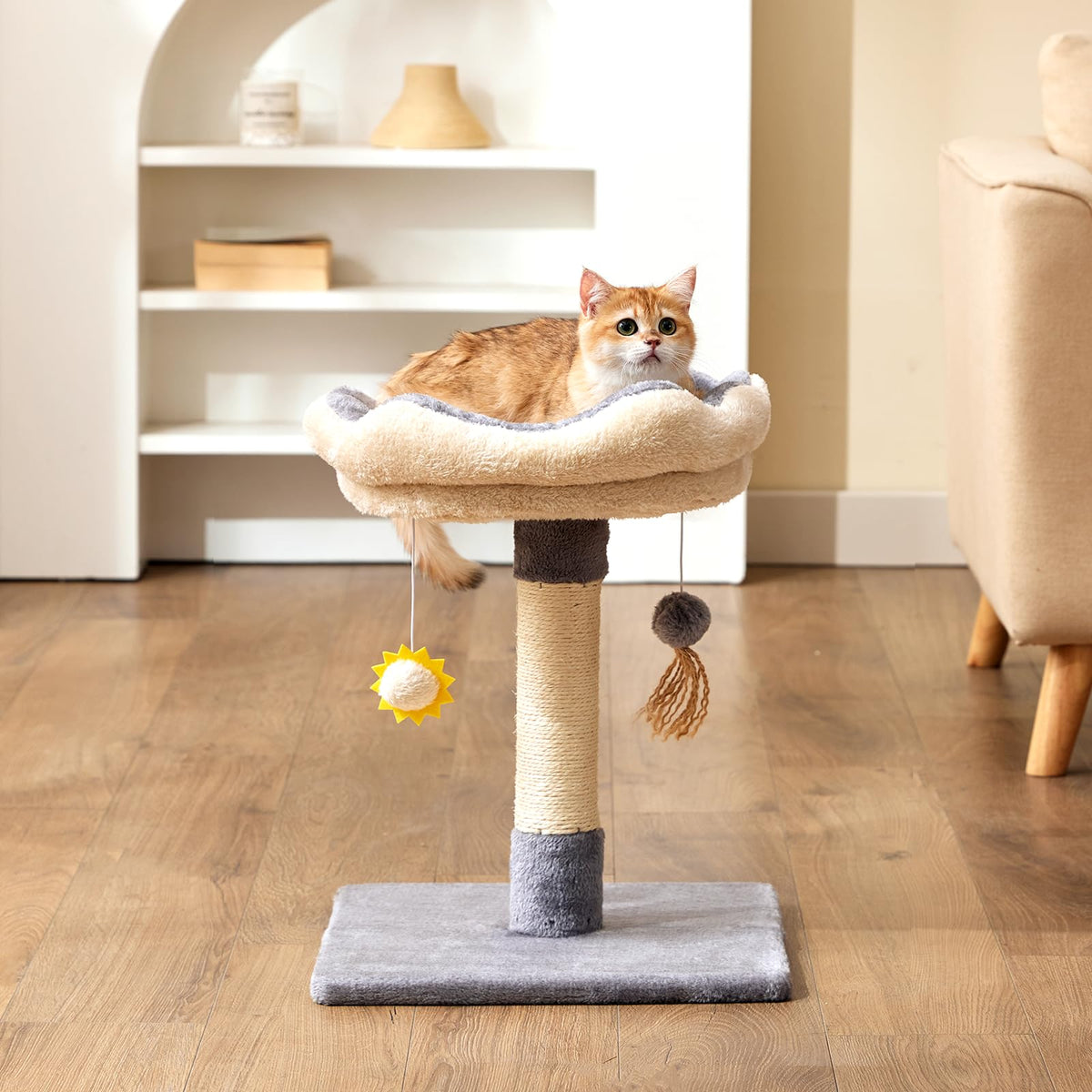 Gardner Pet árbol para gatos 20 pulgadas con percha estable para gatitos en espacios pequeños.