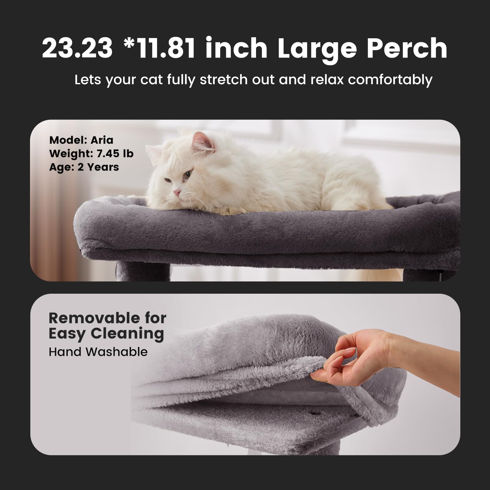 Gardner Pet bola-colgante: juego interactivo para gatos activos
