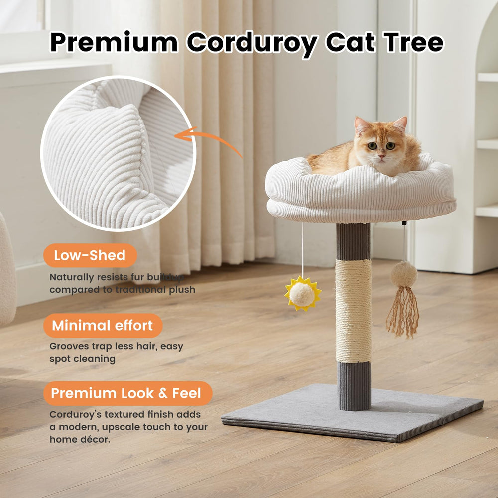 Gardner Pet base de madera sólida para estabilidad durante el juego
