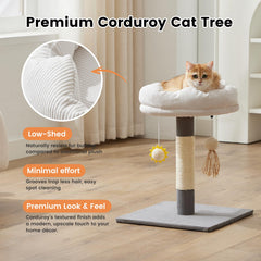 Gardner Pet base de madera sólida para estabilidad durante el juego