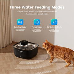 Batería de 5000 mAh que mantiene el agua disponible por más tiempo.