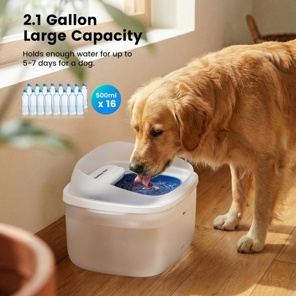 Gardner Pet con filtración Maifan y luz, mantiene el agua más limpia para perros grandes.