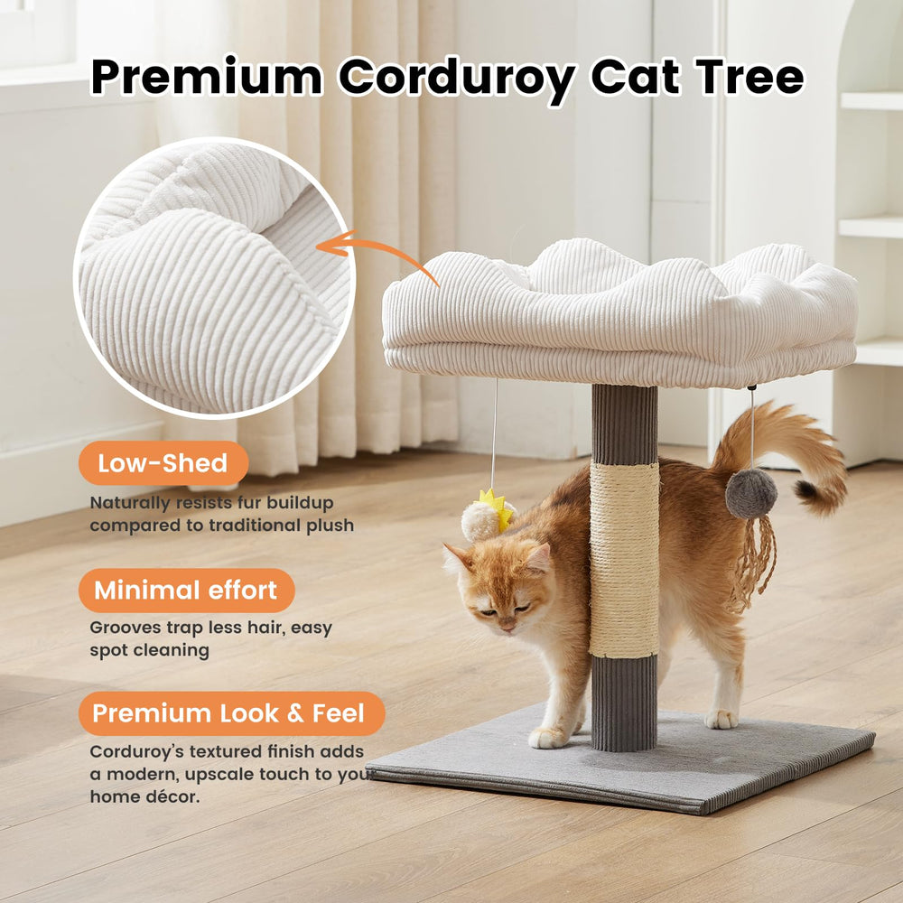 Gardner Pet cama superior desmontable de pana, fácil de limpiar.