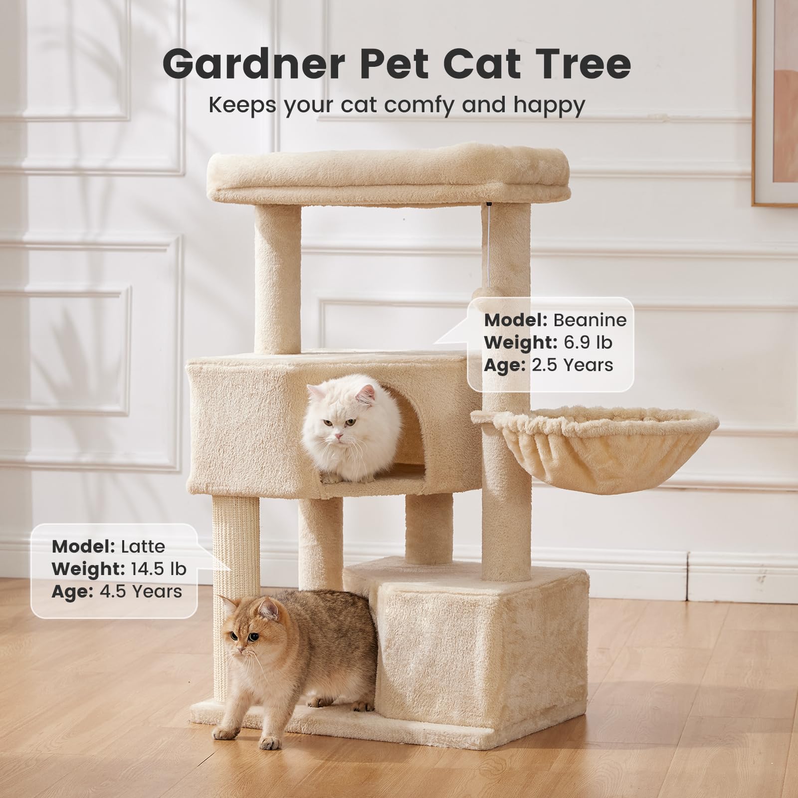 Gardner Pet condo-pequeno-gato para descanso y observación