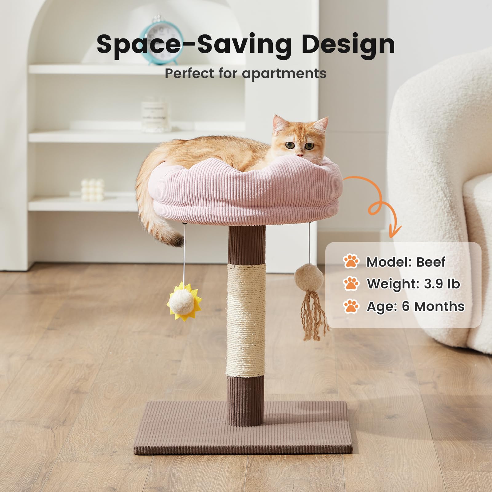 Gardner Pet cama superior desmontable para limpieza rápida