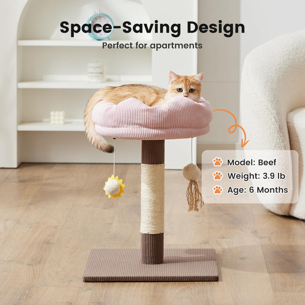 Gardner Pet cama superior desmontable para limpieza rápida
