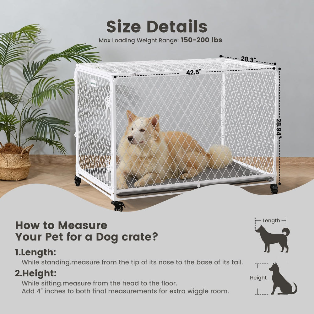 Gardner Pet jaula con ruedas 360 grados para moverla fácilmente