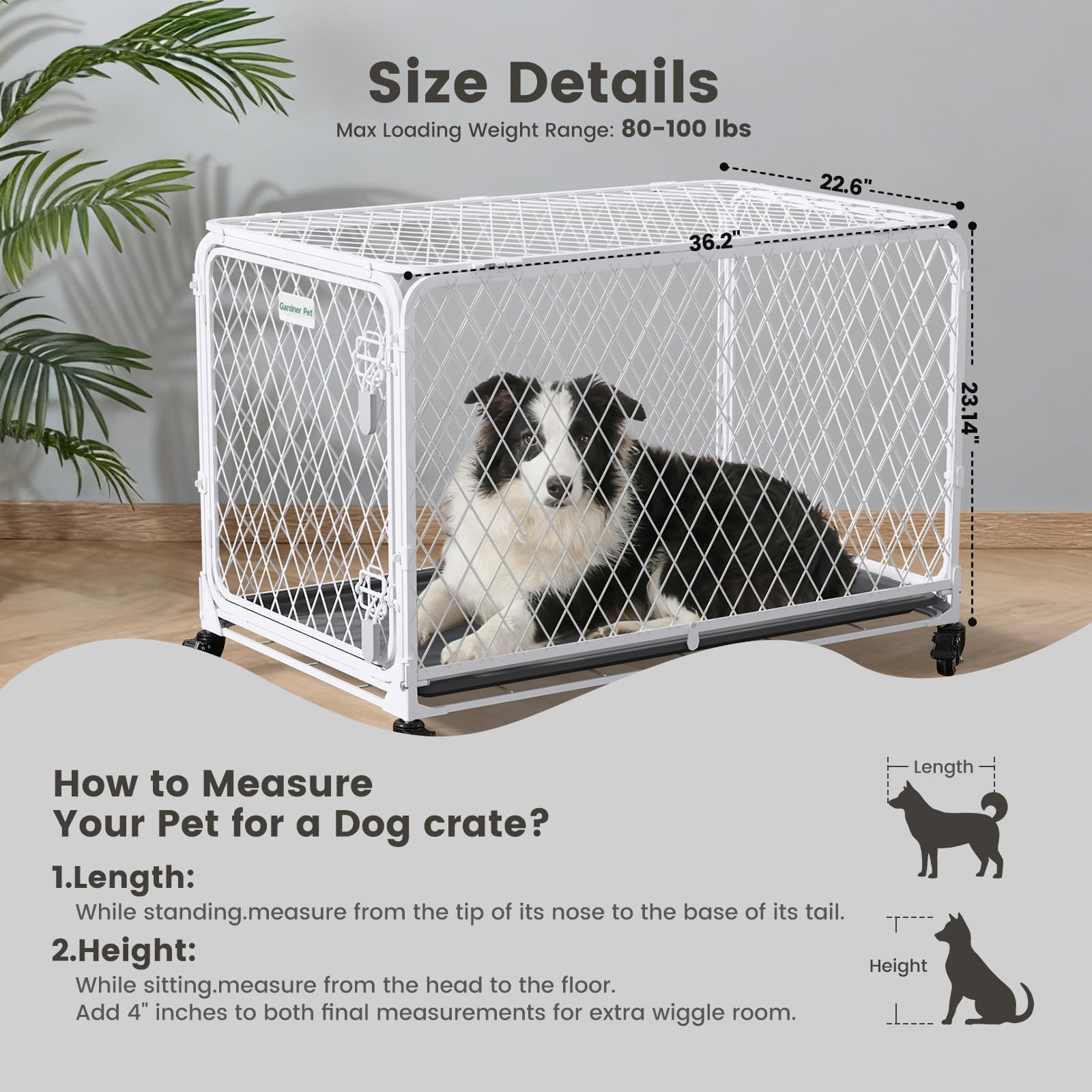 Gardner Pet jaula con ruedas 360° y cierre para mover con seguridad.