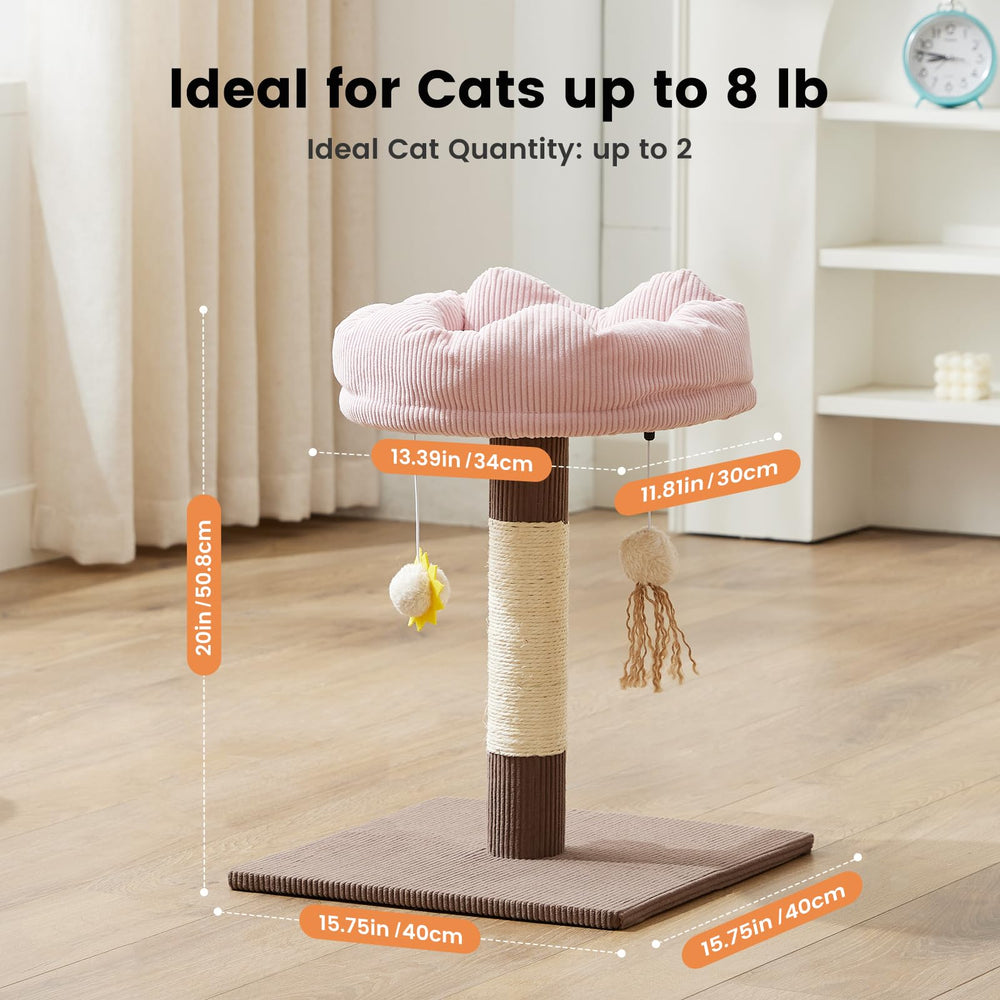 Gardner Pet juguetes colgantes con pompón para gato