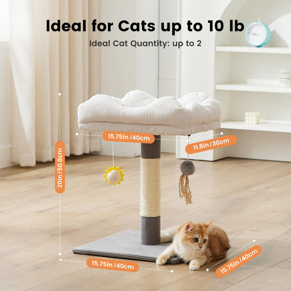 Gardner Pet juguetes colgantes con pompon para estimular juego.