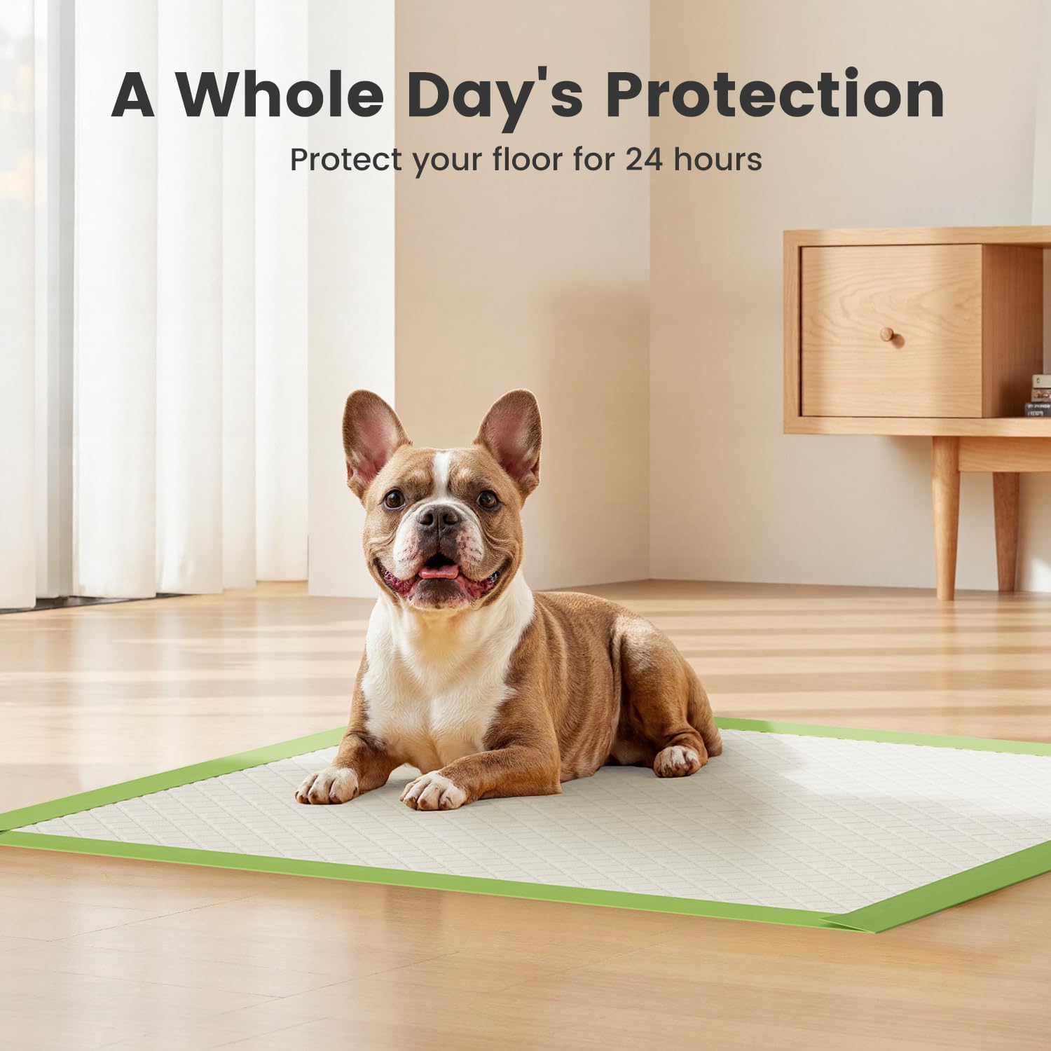 Gardner Pet membrana-impermeable protege el suelo ante derrames durante uso.
