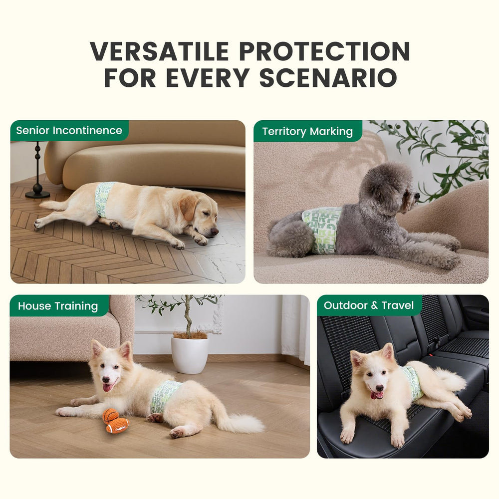 Gardner Pet panales-perro-masculino-uso-diario: opción práctica para entrenamiento y viajes.
