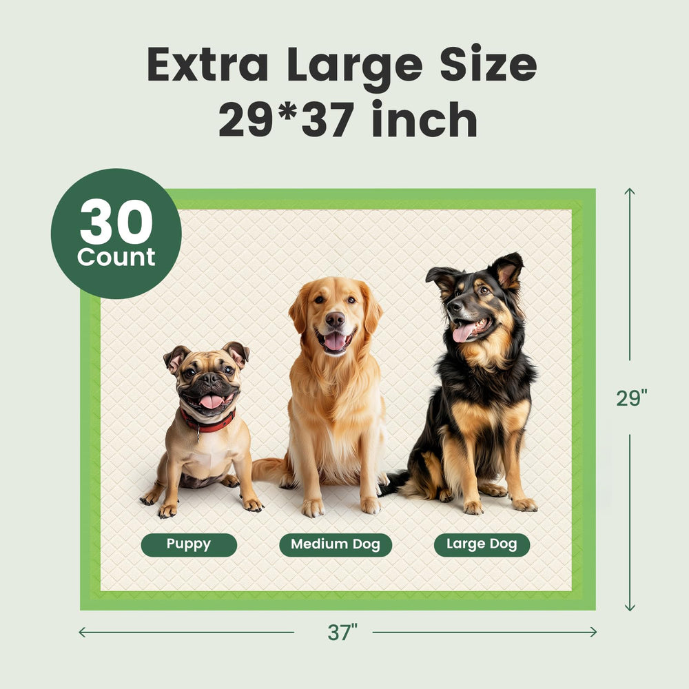 Gardner Pet Pads ECO Mix-Polímer, opción ecológica para la absorción.