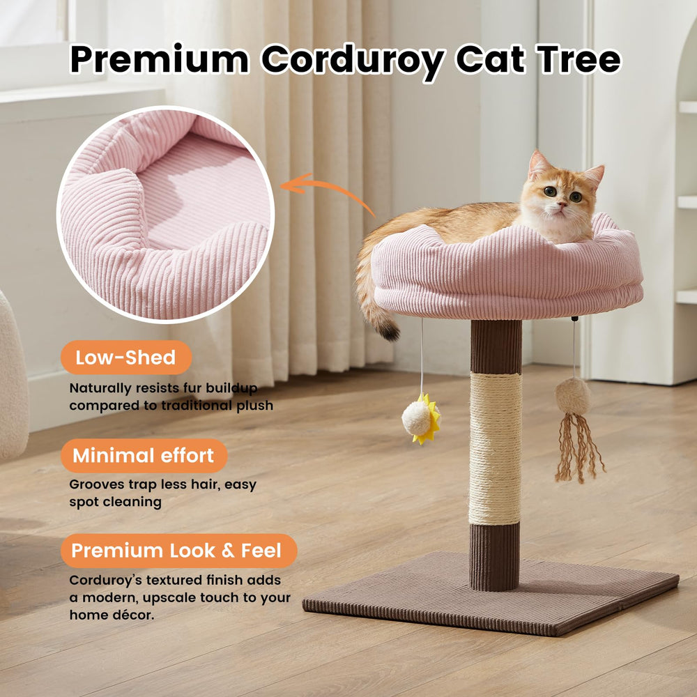 Gardner Pet poste de sisal para rascar gatos
