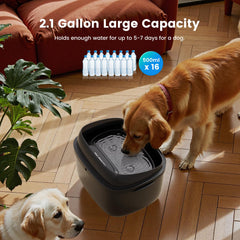 Gardner Pet tanque transparente facilita revisar el nivel de agua a simple vista.