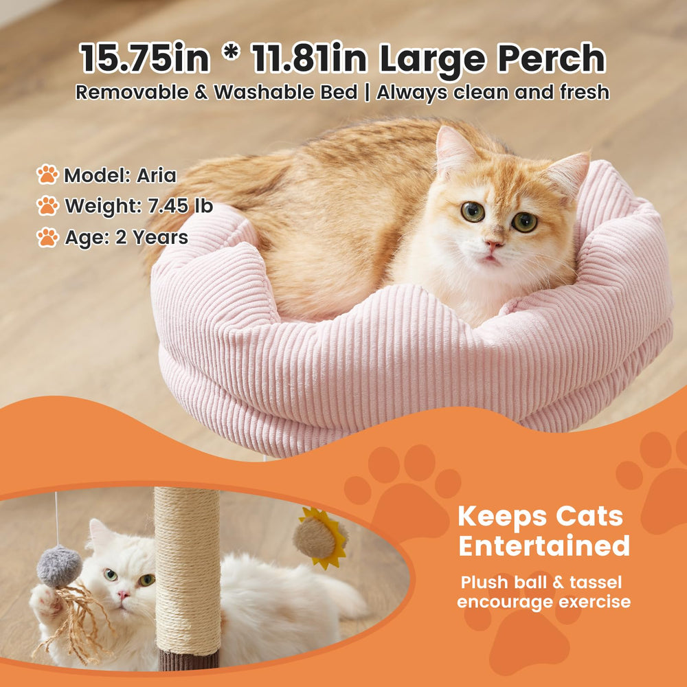 Gardner Pet torre compacta para interior de gatos