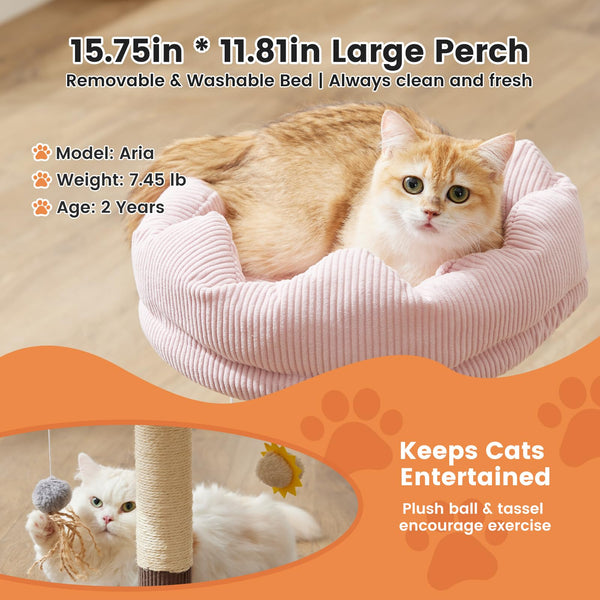 Gardner Pet torre compacta para interior de gatos