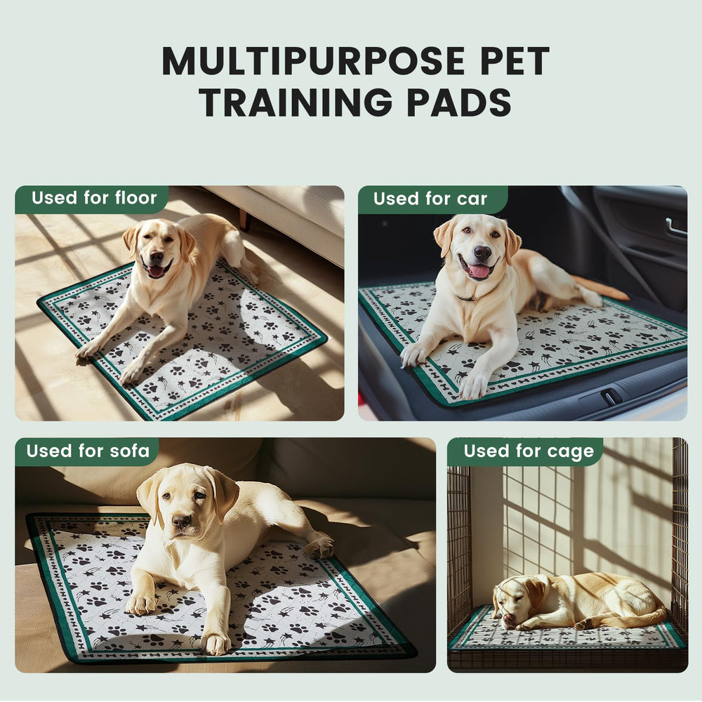 Gardner Pet: uso diario para entrenamiento y viajes.