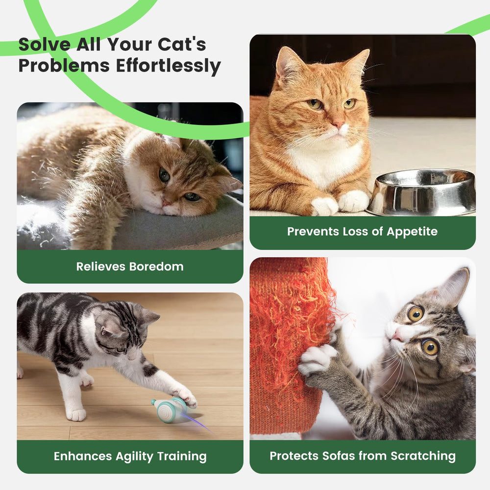 Gardner Pet uso versátil para uno o varios gatos, diversión para toda la familia felina.