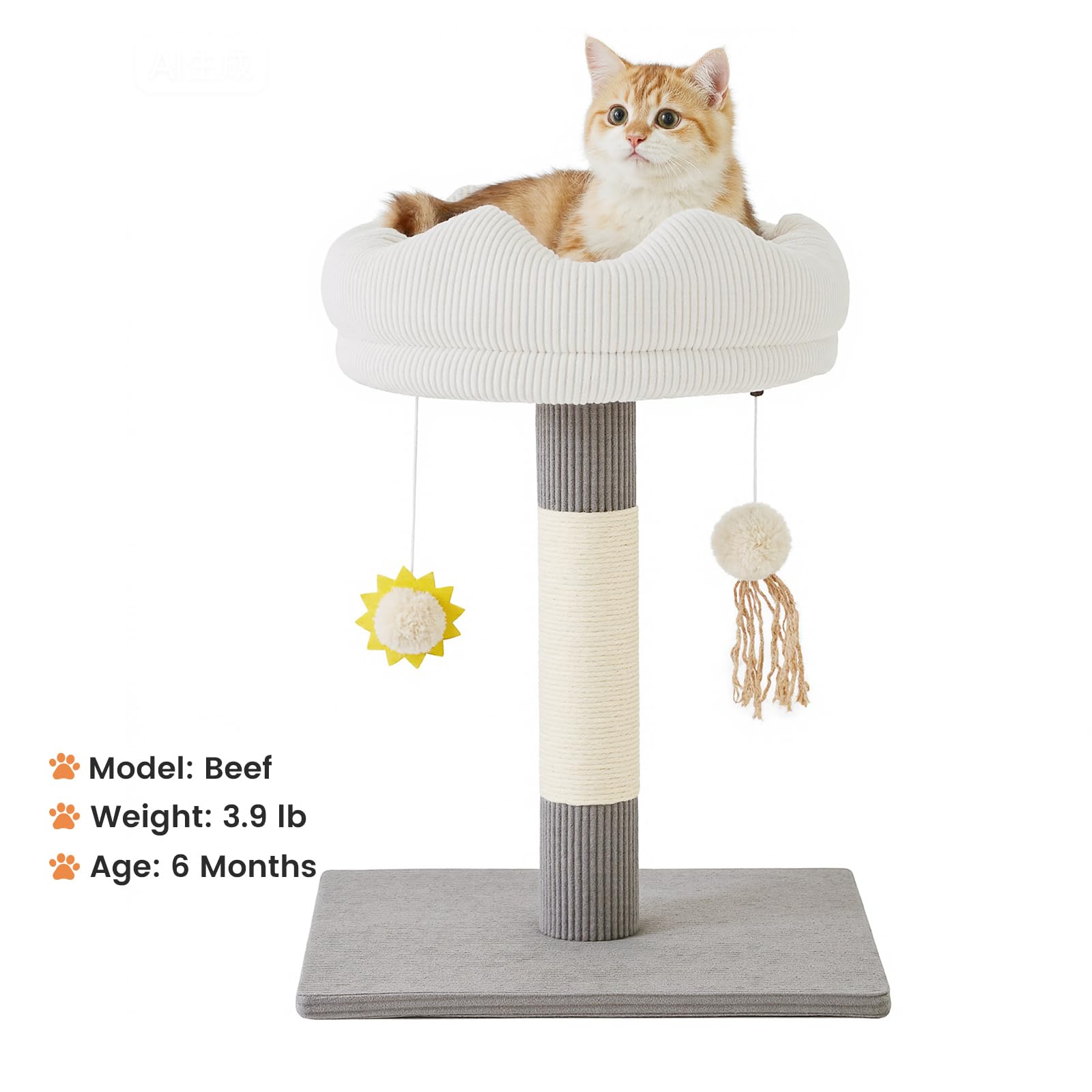 Gardner Pet zona de descanso segura para gatitos